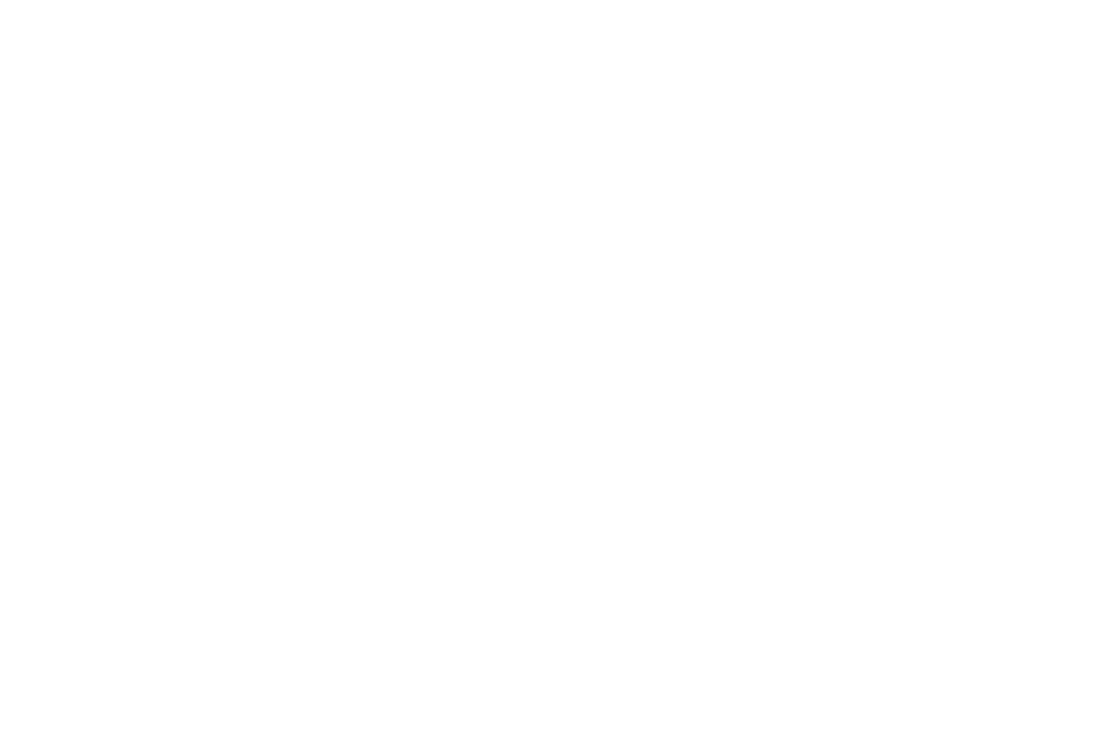 Fidus Global